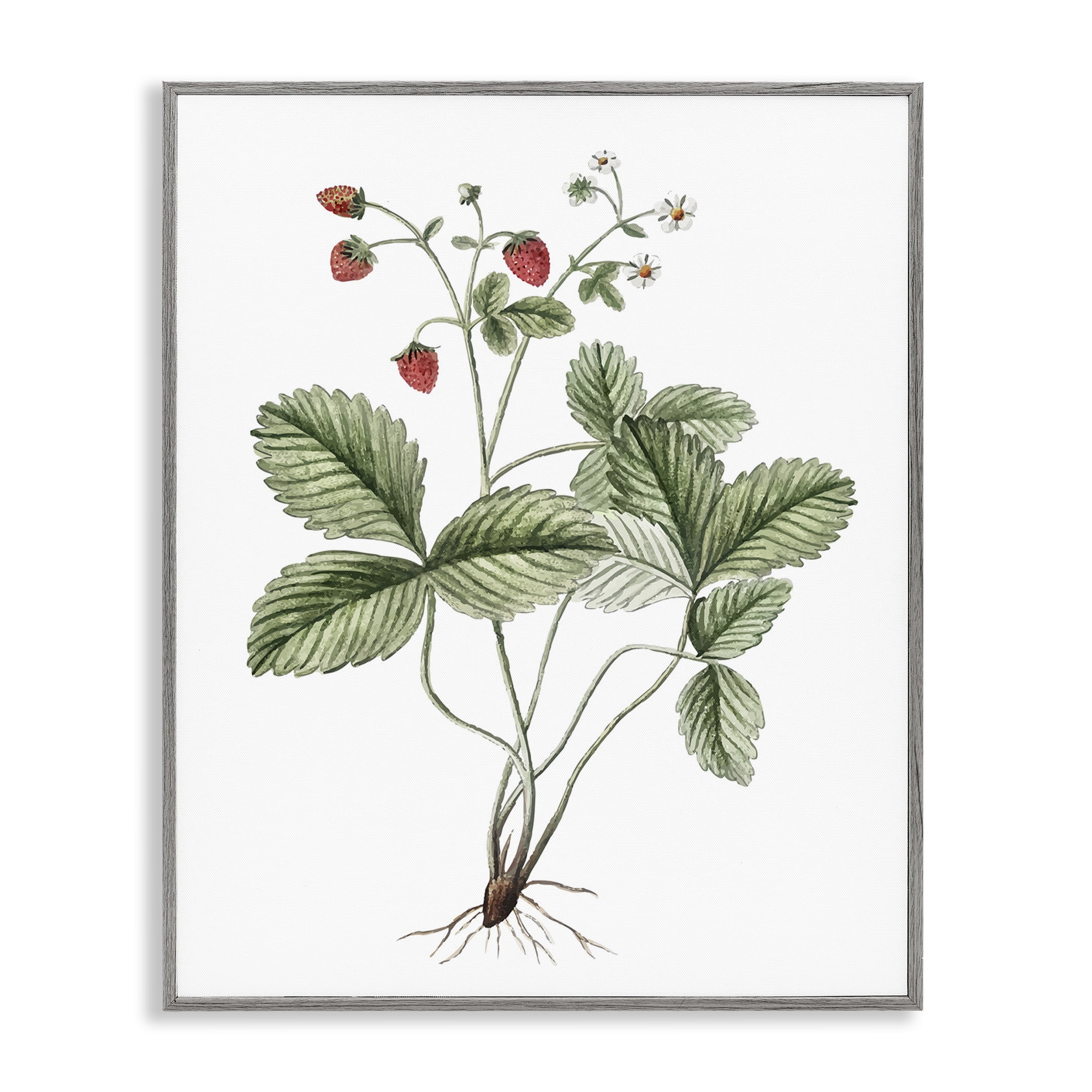 Stupell Industries Budding Strawberries Study Food & Beverage Painting Gray Framed Art Print Wall Art, 11 x 14