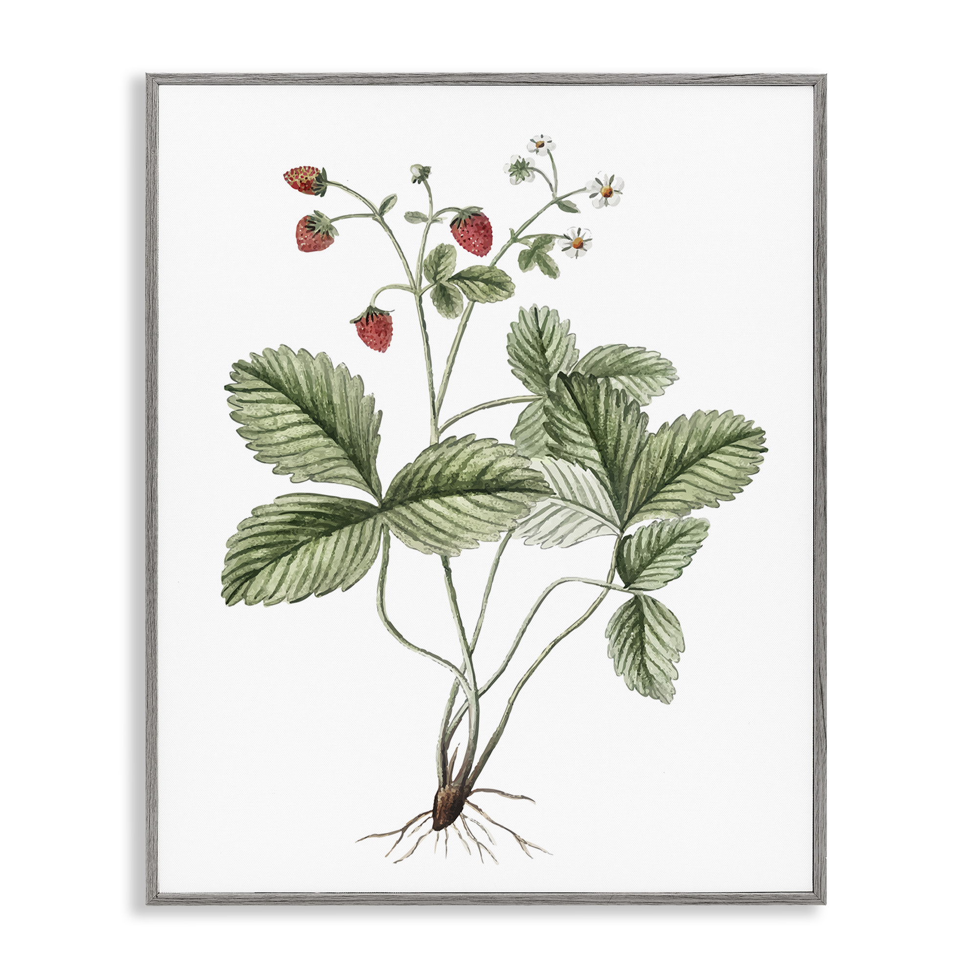 Stupell Industries Budding Strawberries Study Food & Beverage Painting Gray Framed Art Print Wall Art, 24 x 30