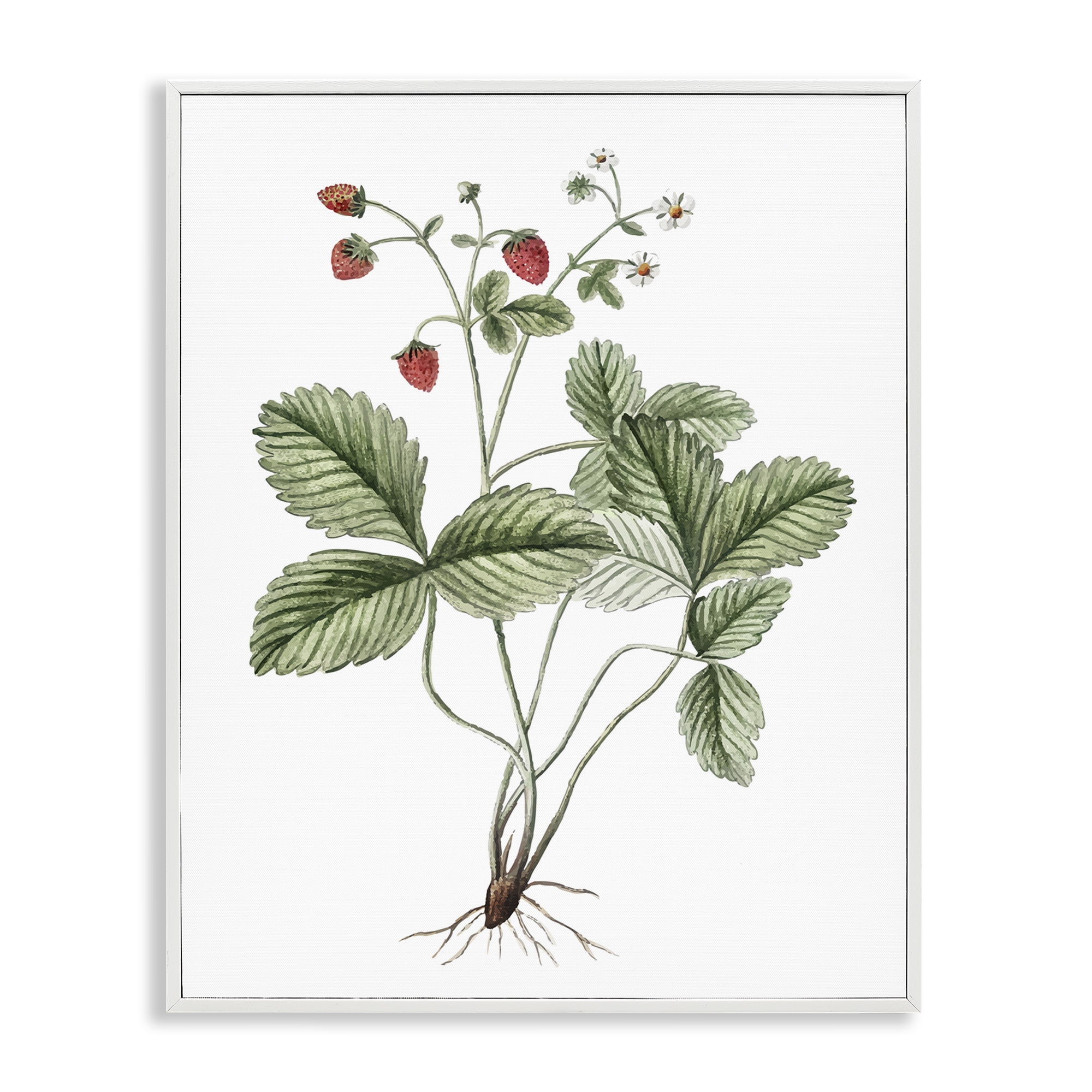 Stupell Industries Budding Strawberries Study Food & Beverage Painting White Framed Art Print Wall Art, 16 x 20
