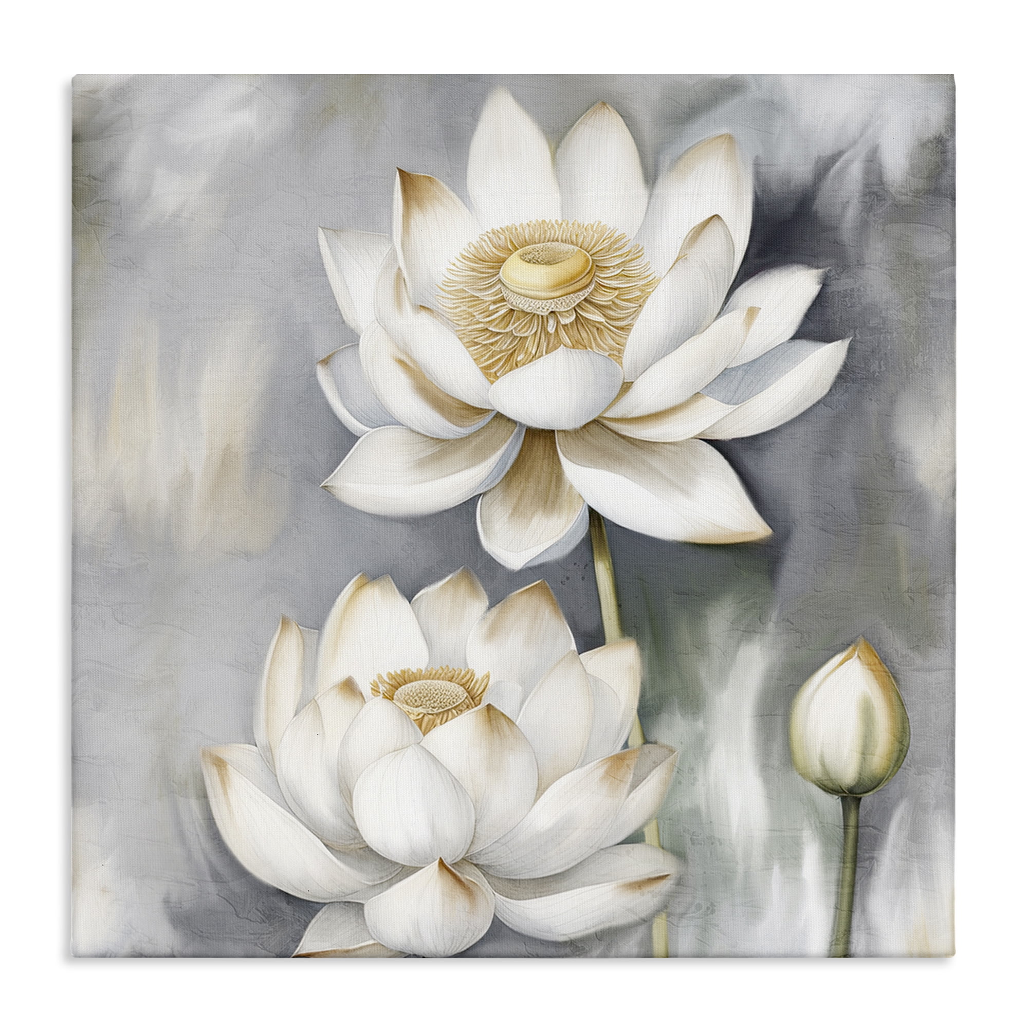 Stupell Industries Budding White Lotus Plants & Flowers Painting Wrapped Canvas Art Print Wall Art, 30 x 30