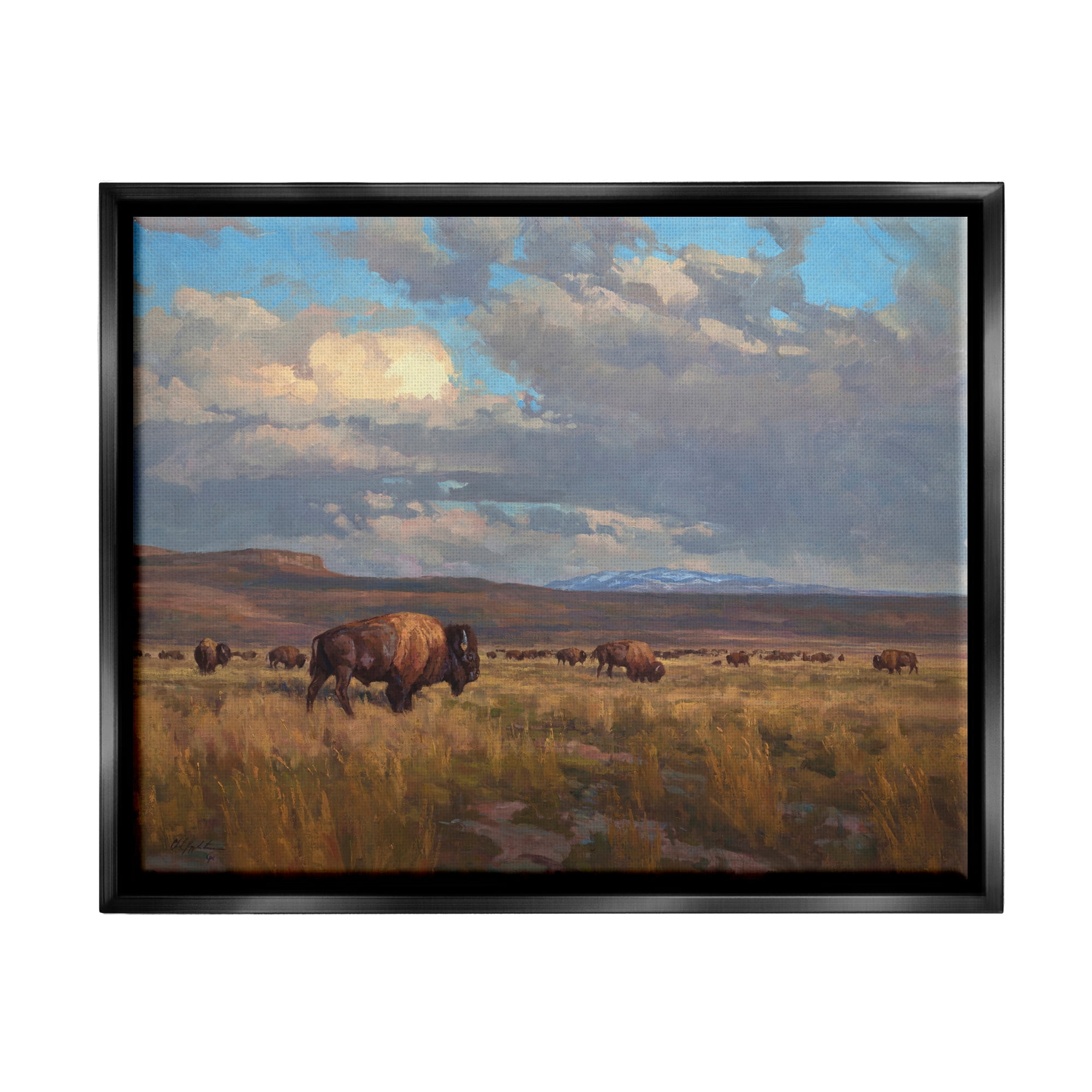 Stupell Industries Buffalo Cloudy Landscape Landscape Painting Black Floater Framed Canvas Art Print Wall Art, 31 x 25