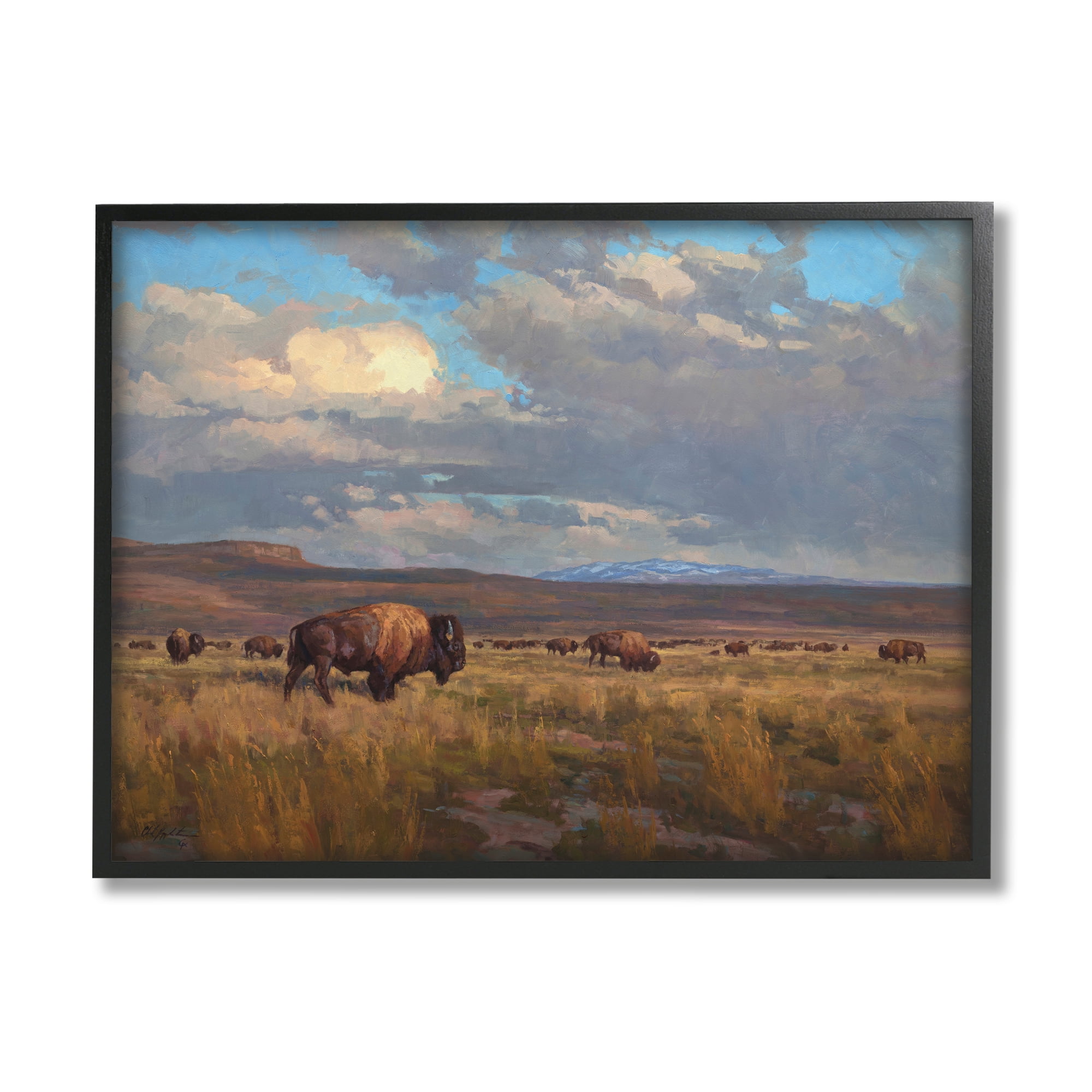 Stupell Industries Buffalo Cloudy Landscape Landscape Painting Black Framed Art Print Wall Art, 14 x 11
