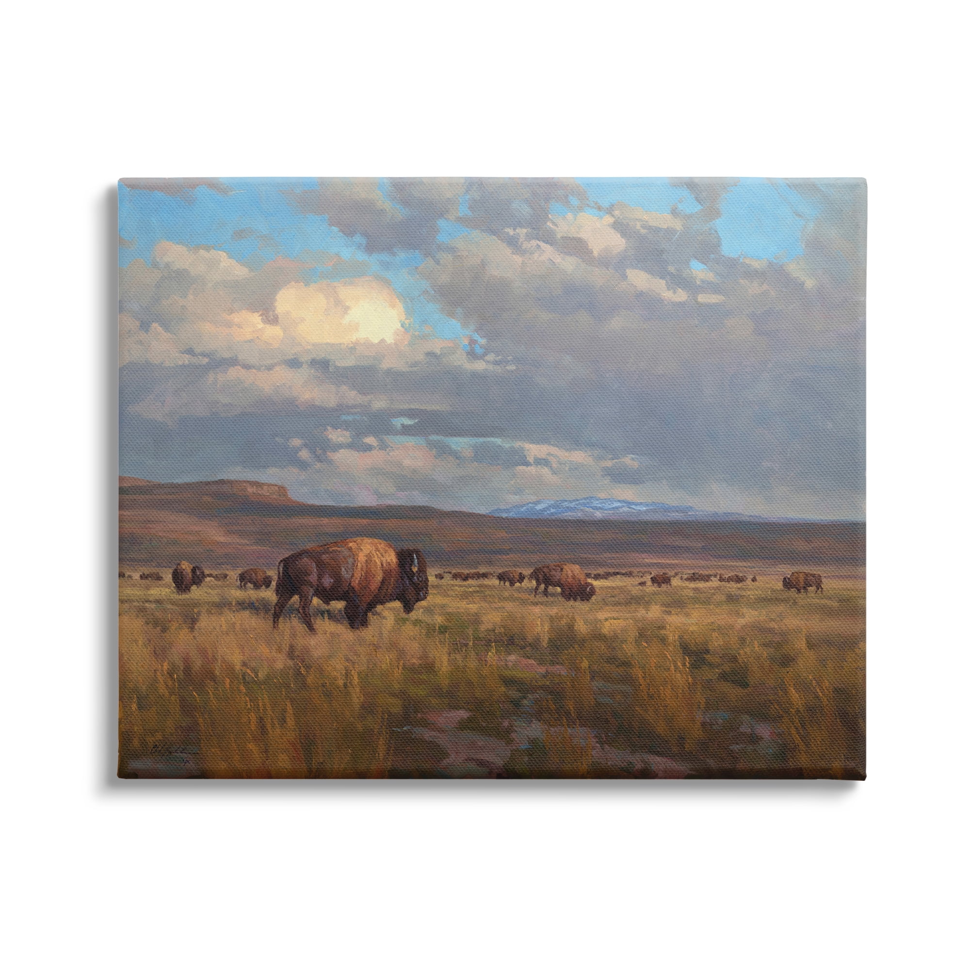 Stupell Industries Buffalo Cloudy Landscape Landscape Painting Gallery Wrapped Canvas Art Print Wall Art, 48 x 36