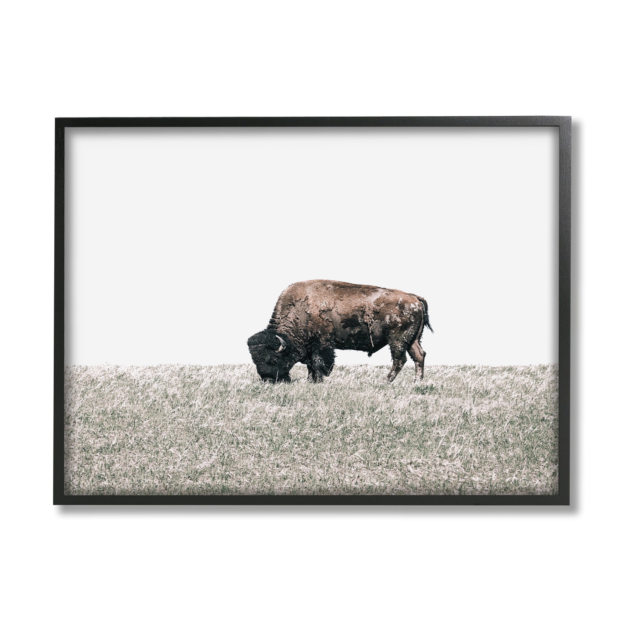 Stupell Industries Buffalo Grazing Pasture Animals & Insects Photography Black Framed Art Print Wall Art, 30 x 24