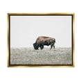 thumbnail image 1 of Stupell Industries Buffalo Grazing Pasture Animals & Insects Photography Gold Floater Framed Canvas Art Print Wall Art, 31 x 25, 1 of 10
