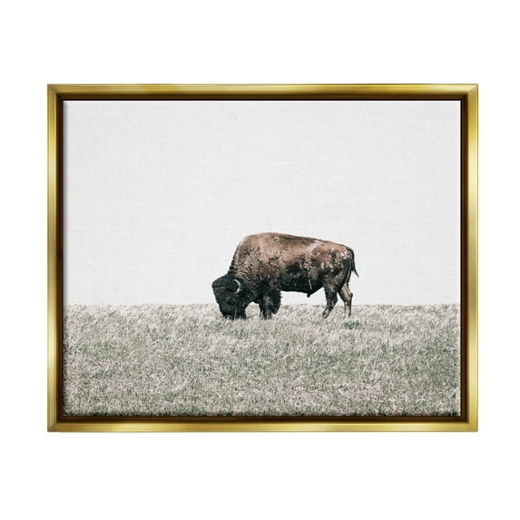 Stupell Industries Buffalo Grazing Pasture Animals & Insects Photography Gold Floater Framed Canvas Art Print Wall Art, 31 x 25
