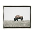 thumbnail image 1 of Stupell Industries Buffalo Grazing Pasture Animals & Insects Photography Gray Floater Framed Canvas Art Print Wall Art, 31 x 25, 1 of 10