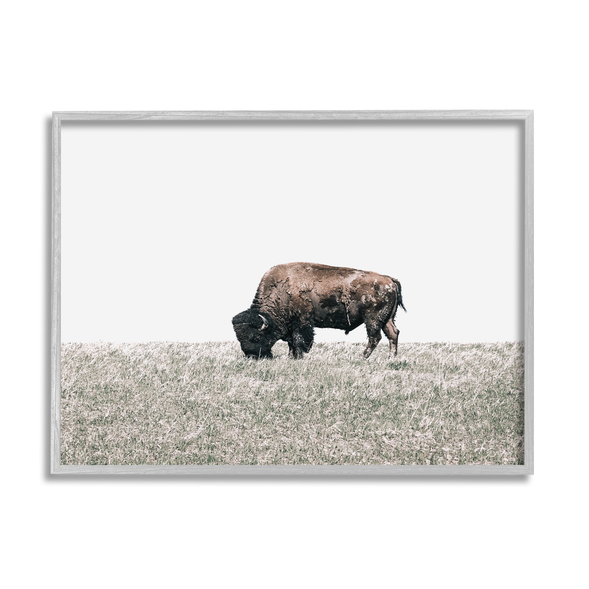 Stupell Industries Buffalo Grazing Pasture Animals & Insects Photography Gray Framed Art Print Wall Art, 14 x 11