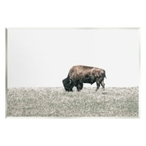 Stupell Industries Buffalo Grazing Pasture Animals & Insects Photography Unframed Art Print Wall Art, 15 x 10