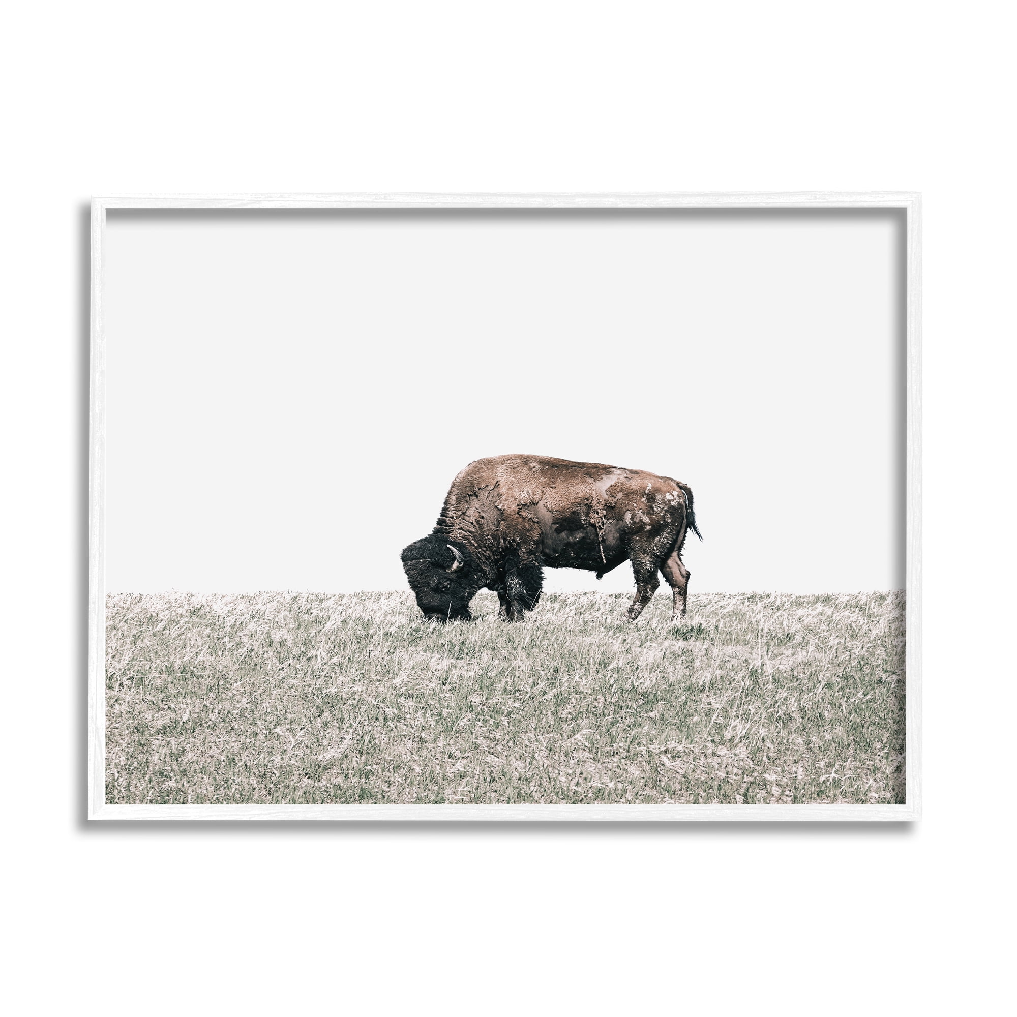 Stupell Industries Buffalo Grazing Pasture Animals & Insects Photography White Framed Art Print Wall Art, 30 x 24