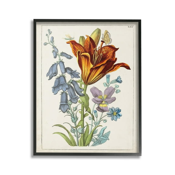 Stupell Industries Bugs & Vintage Flowers Botanical & Floral Painting Black Framed Art Print Wall Art, 16 x 20