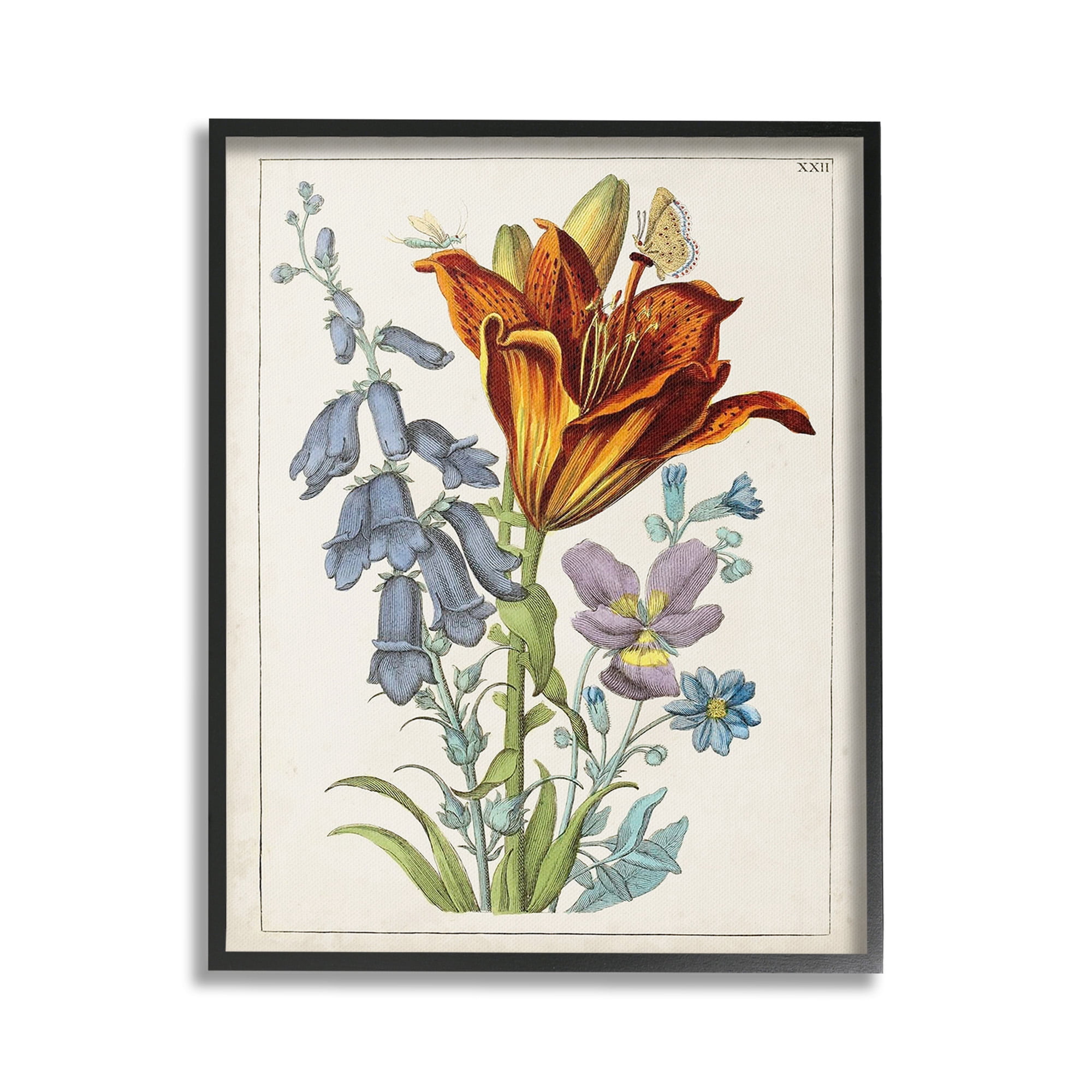 Stupell Industries Bugs & Vintage Flowers Botanical & Floral Painting Black Framed Art Print Wall Art, 24 x 30