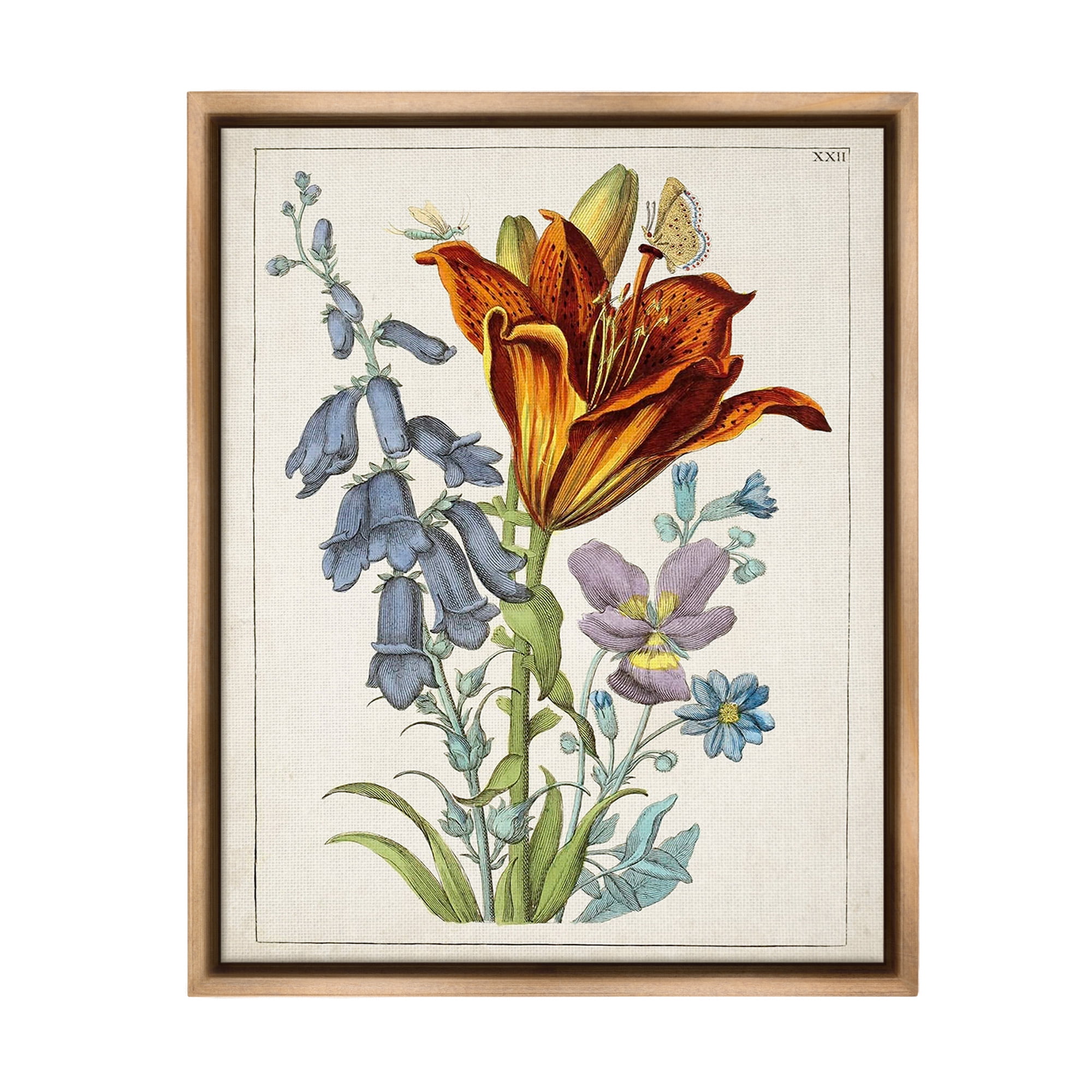 Stupell Industries Bugs & Vintage Flowers Botanical & Floral Painting Brown Floater Framed Canvas Art Print Wall Art, 17 x 21