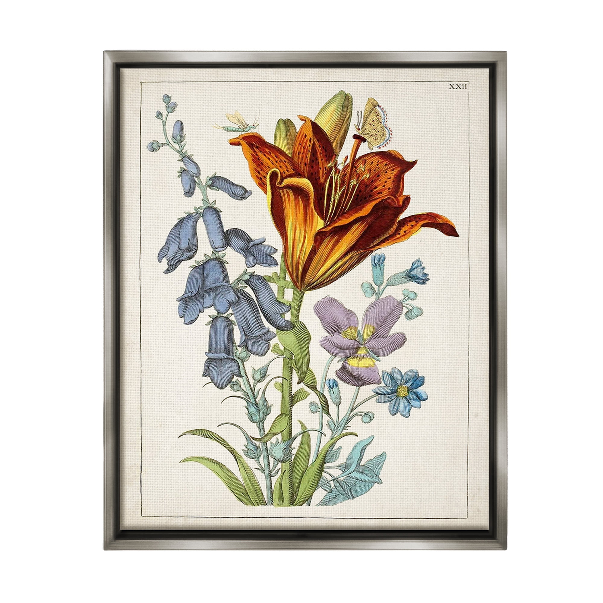 Stupell Industries Bugs & Vintage Flowers Botanical & Floral Painting Gray Floater Framed Canvas Art Print Wall Art, 17 x 21