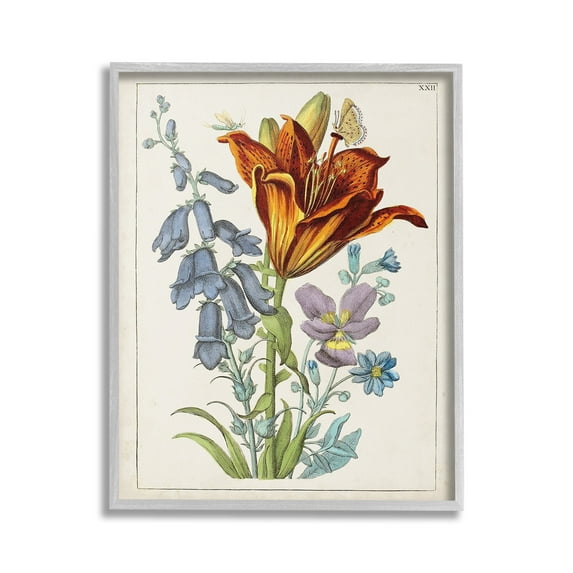 Stupell Industries Bugs & Vintage Flowers Botanical & Floral Painting Gray Framed Art Print Wall Art, 16 x 20