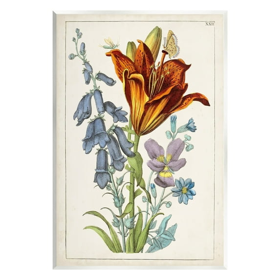 Stupell Industries Bugs & Vintage Flowers Botanical & Floral Painting Unframed Art Print Wall Art, 13 x 19