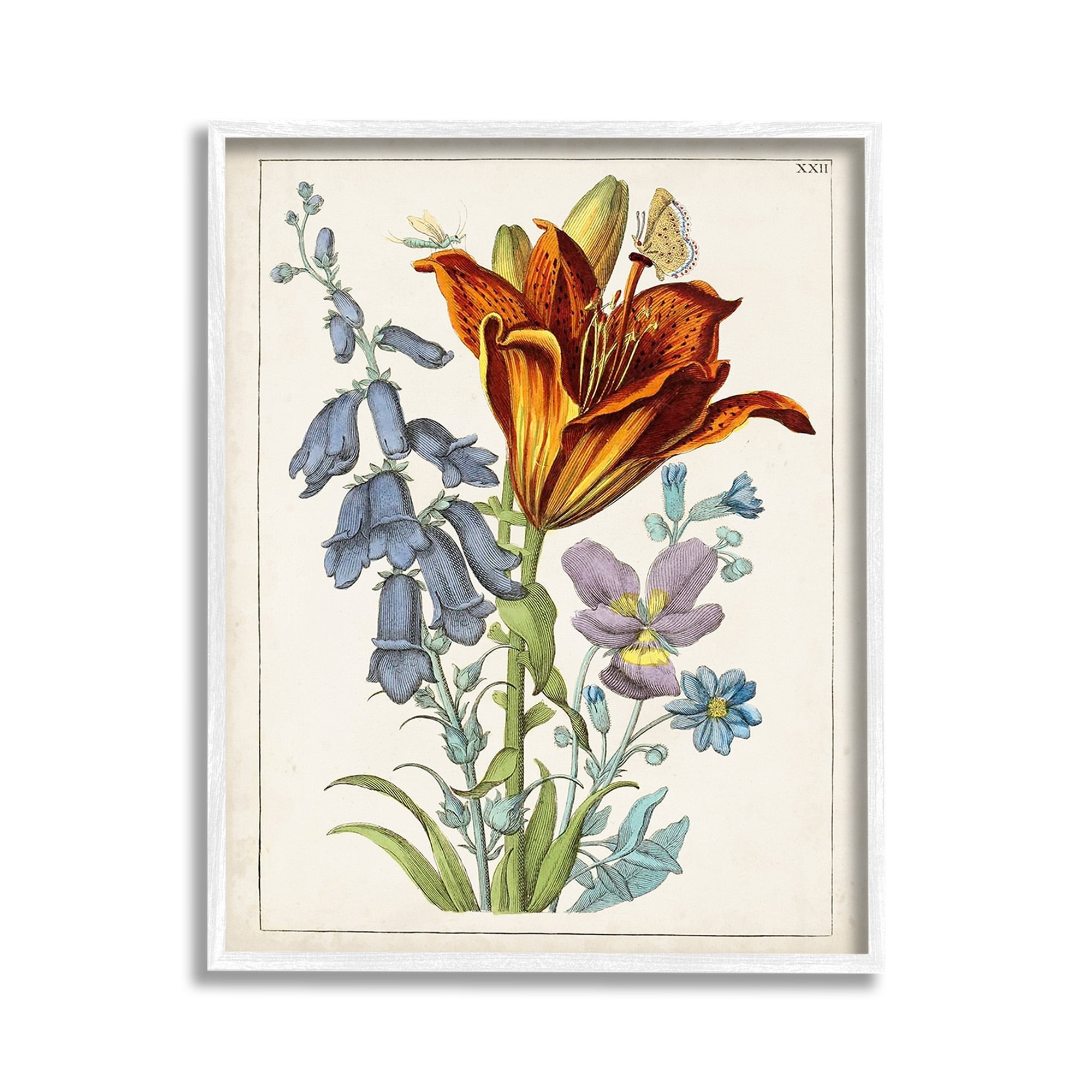 Stupell Industries Bugs & Vintage Flowers Botanical & Floral Painting White Framed Art Print Wall Art, 11 x 14