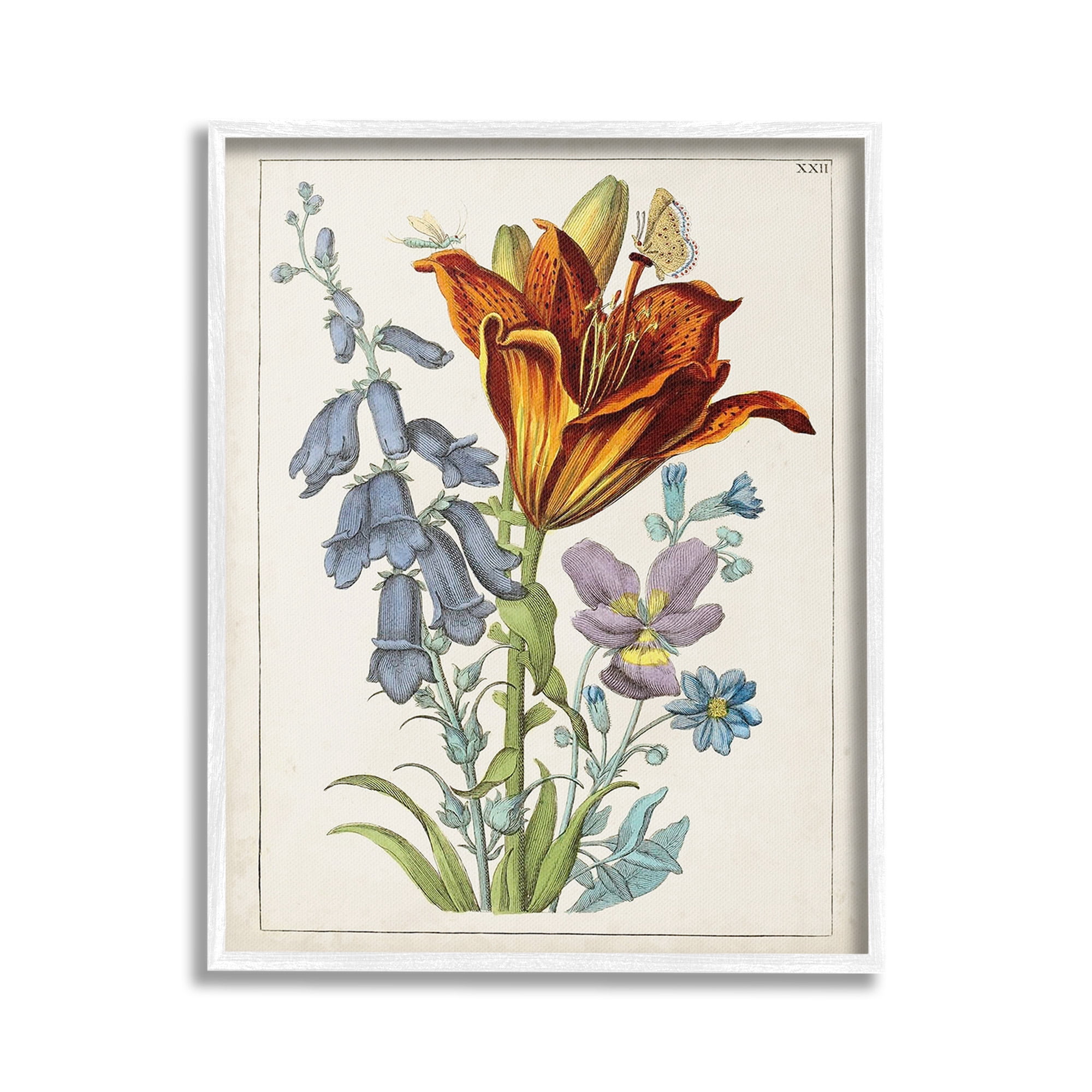 Stupell Industries Bugs & Vintage Flowers Botanical & Floral Painting White Framed Art Print Wall Art, 24 x 30