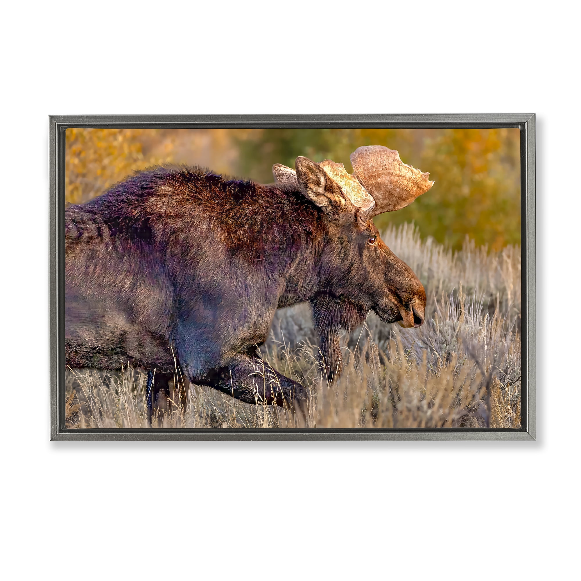 Stupell Industries Bull Moose At Dusk Gray Framed Floater Canvas Wall Art, design by Shelley Carlisle