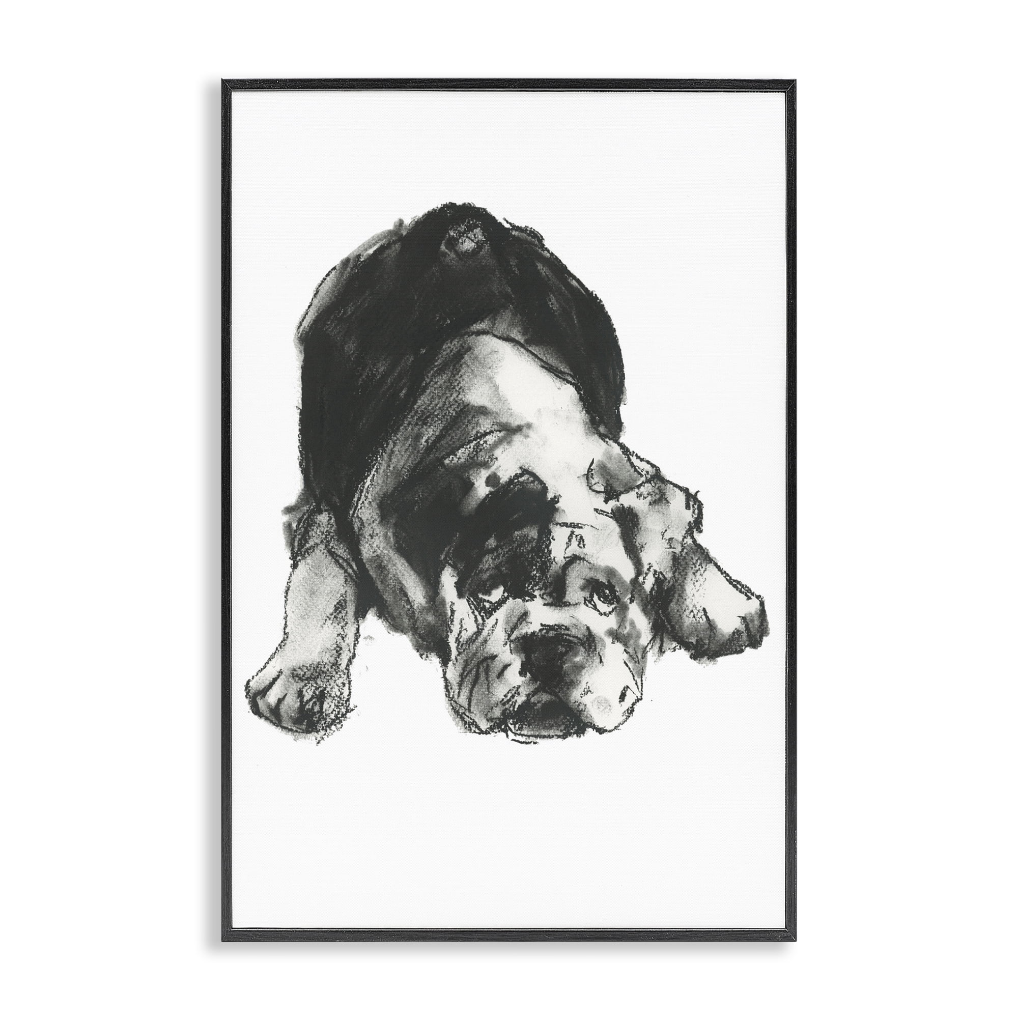 Stupell Industries Bulldog Drawing Portrait Animals & Insects Drawing Black Framed Art Print Wall Art, 20 x 30