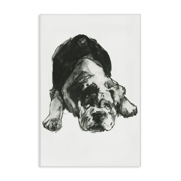 Stupell Industries Bulldog Drawing Portrait Animals & Insects Drawing Gallery Wrapped Canvas Art Print Wall Art, 16 x 24