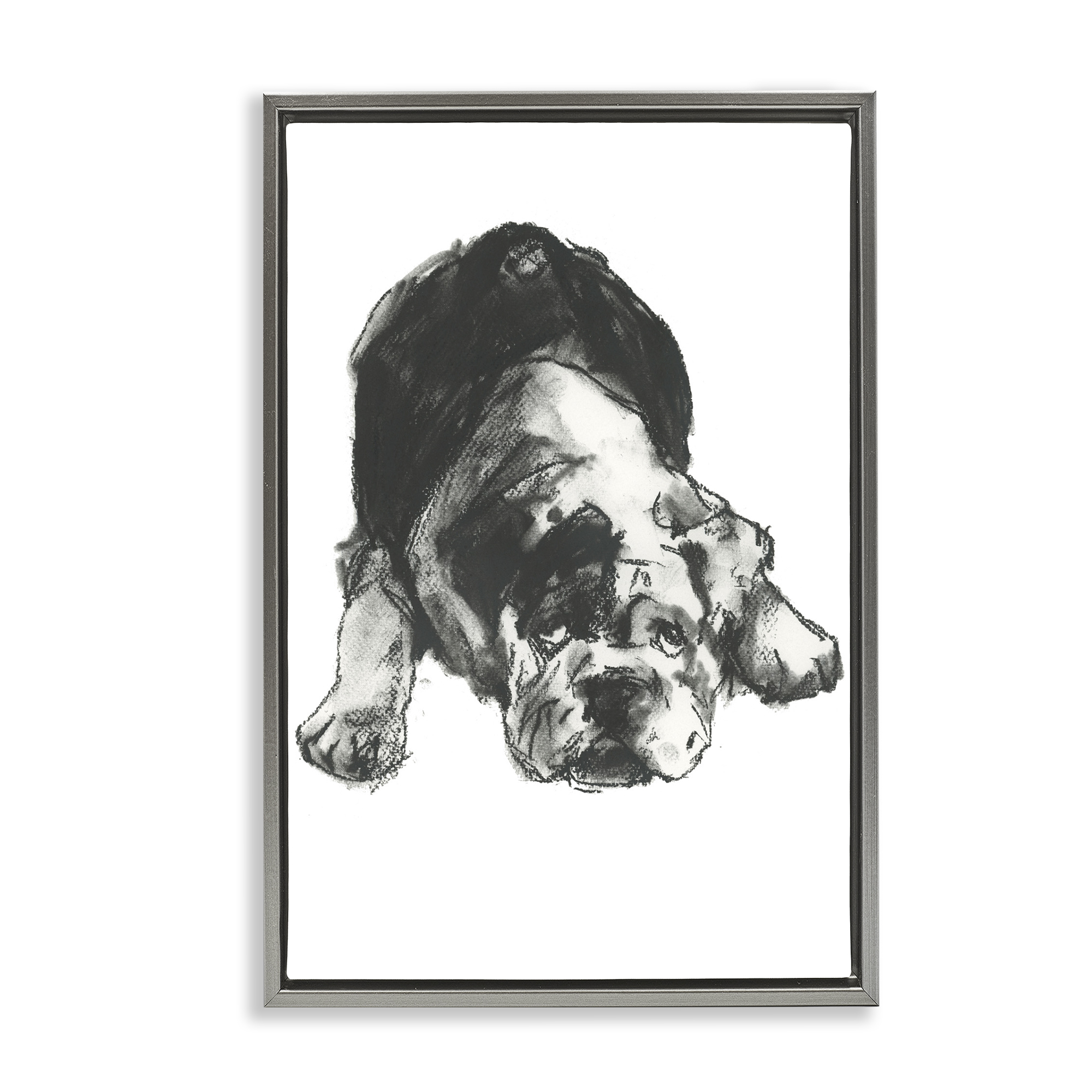 Stupell Industries Bulldog Drawing Portrait Animals & Insects Drawing Gray Floater Framed Canvas Art Print Wall Art, 17 x 25