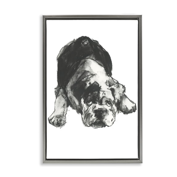 Stupell Industries Traditional Bulldog Drawing Portrait Gray Floating Frame Canvas Art, 21 x 31, by cartissi