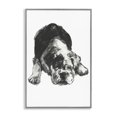 thumbnail image 1 of Stupell Industries Bulldog Drawing Portrait Animals & Insects Drawing Gray Framed Art Print Wall Art, 16 x 24, 1 of 10