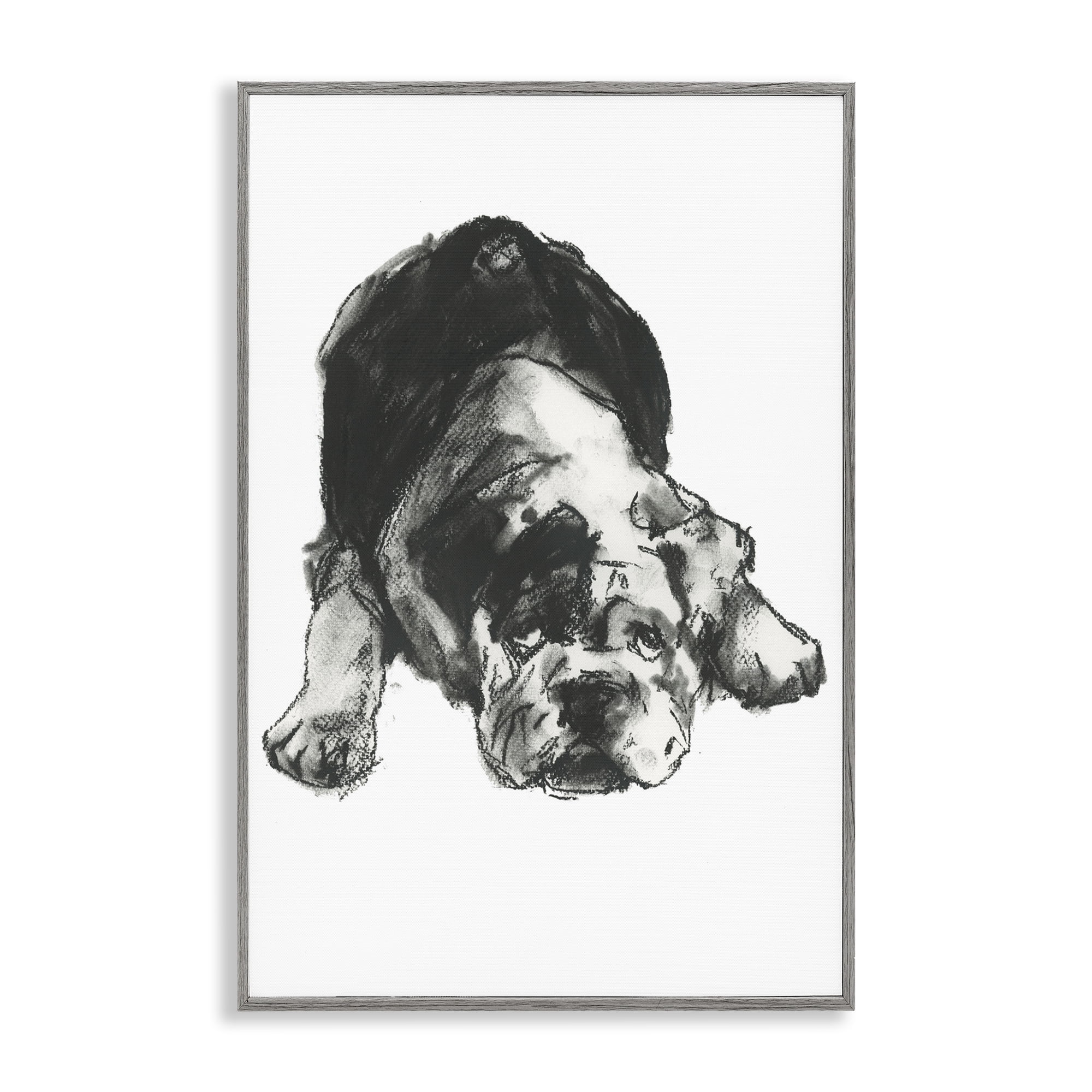 Stupell Industries Bulldog Drawing Portrait Animals & Insects Drawing Gray Framed Art Print Wall Art, 20 x 30