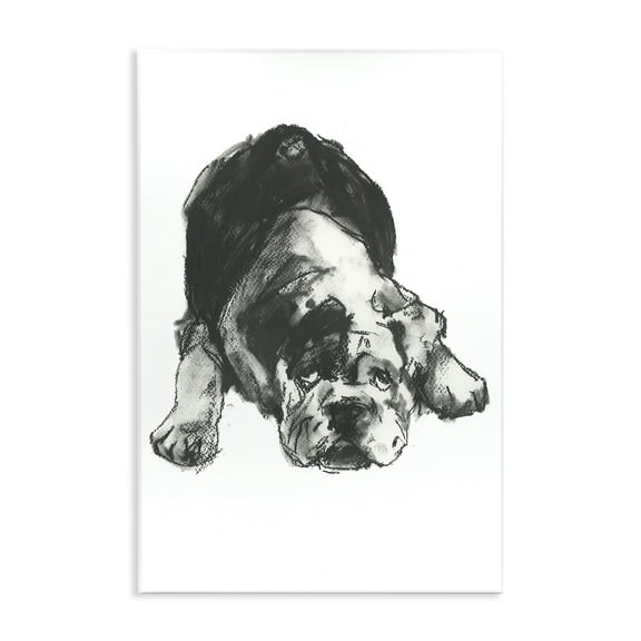 Stupell Industries Bulldog Drawing Portrait Animals & Insects Drawing Unframed Art Print Wall Art, 10 x 15