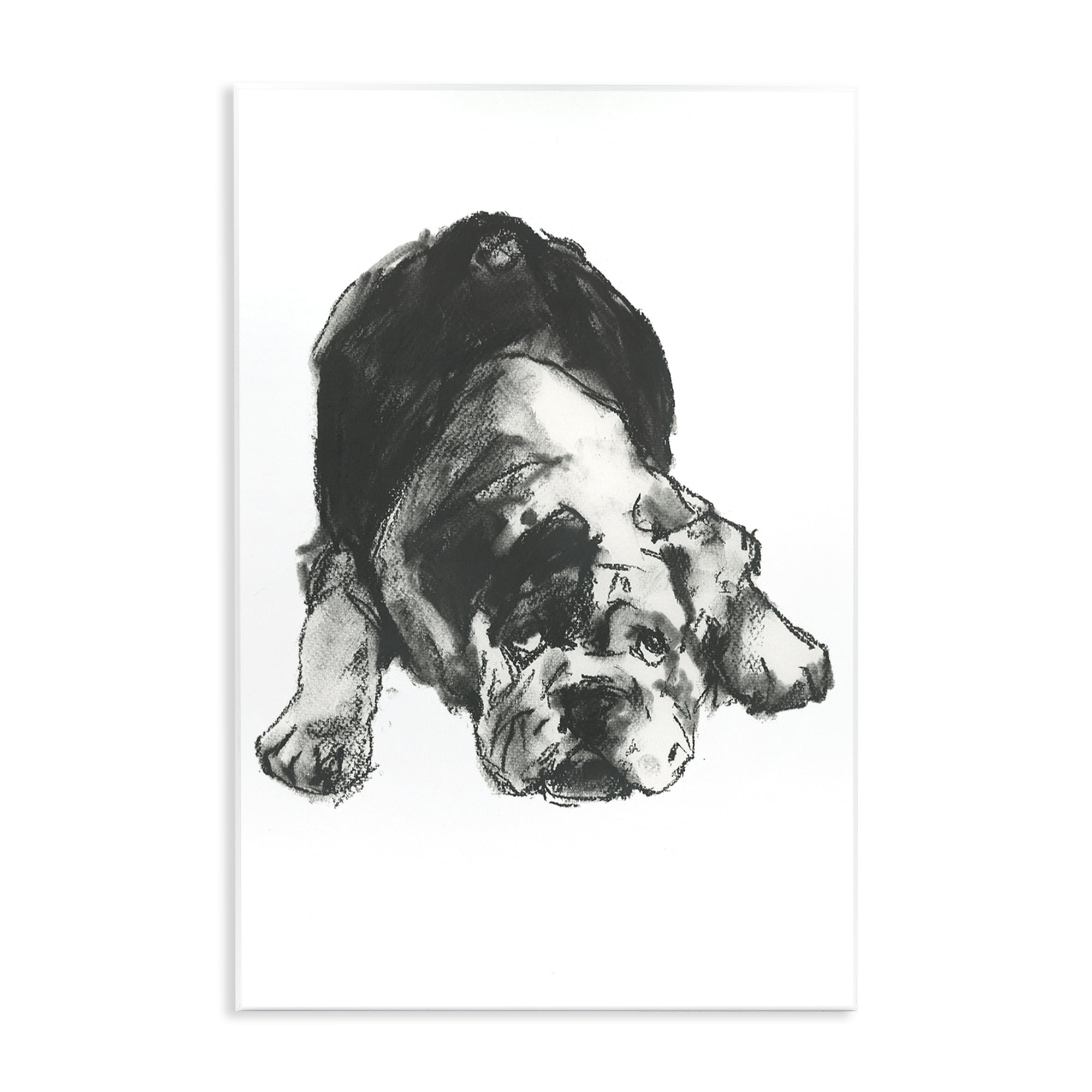 Stupell Industries Bulldog Drawing Portrait Animals & Insects Drawing Unframed Art Print Wall Art, 13 x 19