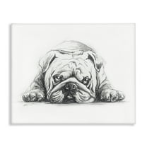 Stupell Industries Bulldog Puppy Naptime Animals Drawing Wrapped Canvas Art Print Wall Art, 20 x 16