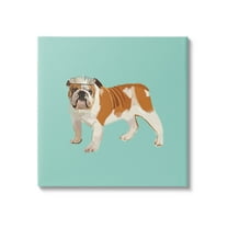 Stupell Industries Bulldog Wearing Tiara Animals & Insects Painting Gallery Wrapped Canvas Art Print Wall Art, 17 x 17
