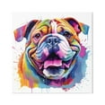thumbnail image 1 of Stupell Industries Bulldog with Modern Splash Animals & Insects Painting Gallery Wrapped Canvas Art Print Wall Art, 36 x 36, 1 of 8