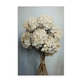 thumbnail image 1 of Stupell Industries Bundle of Hydrangea Plants & Flowers Painting Wrapped Canvas Art Print Wall Art, 24 x 36, 1 of 8