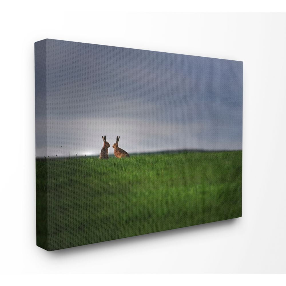 Stupell Industries Bunny Couple Family Animal Landscape Photo Canvas Wall Art by Villager Jim