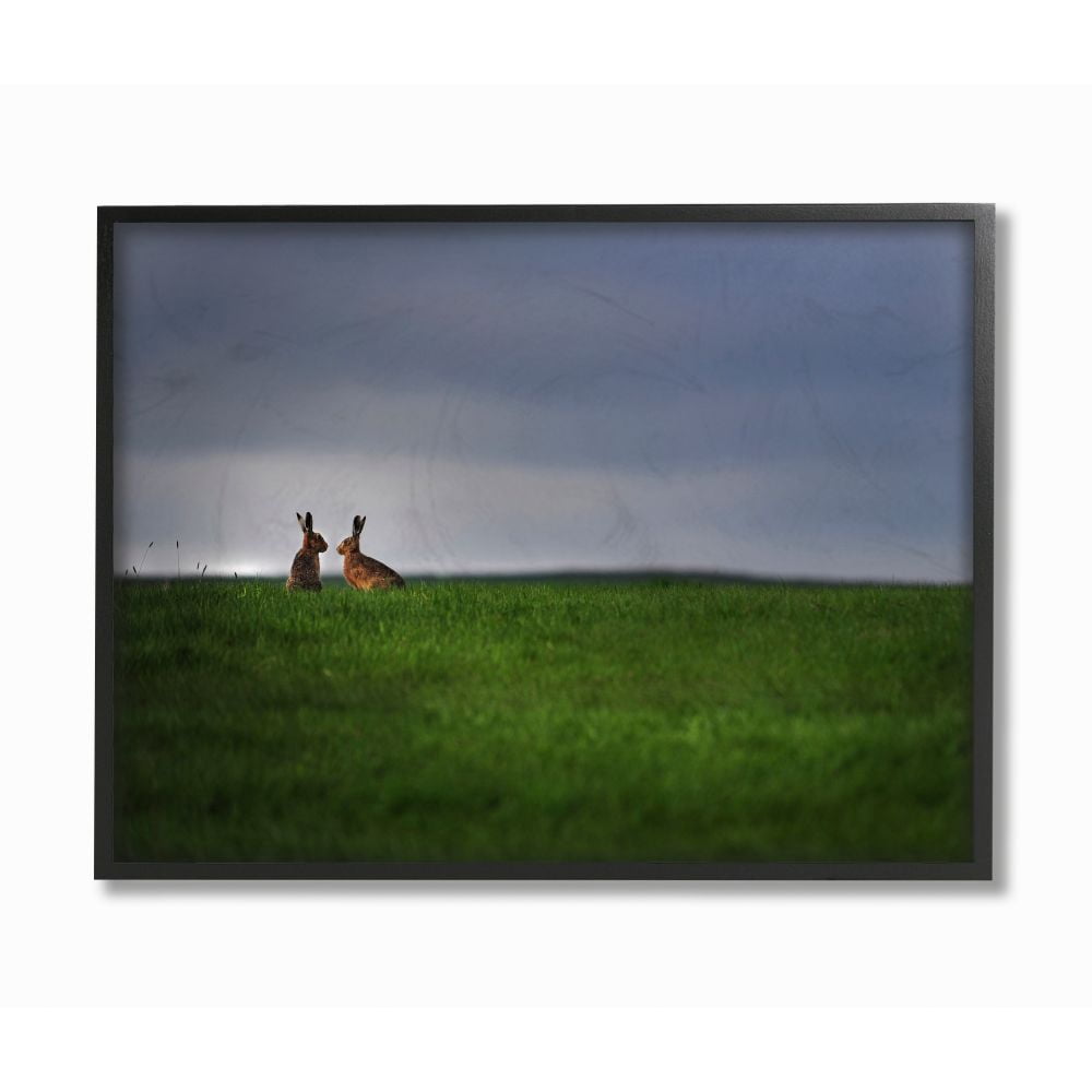 Stupell Industries Bunny Couple Family Animal Landscape Photo Framed Giclee Texturized Art by Villager Jim