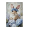 thumbnail image 1 of Stupell Industries Cottage Bunny In The Blossoms Canvas Art, 16 x 24, by Tina LeCour, 1 of 8