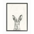 thumbnail image 1 of Stupell Industries Bunny Rabbit Portrait Grey Drawing Design Framed Wall Art by Victoria Borges, 1 of 8