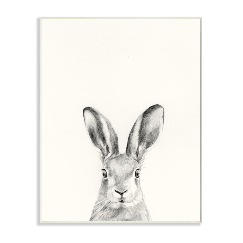 Stupell Industries Bunny Rabbit Portrait Grey Drawing Design Wall Plaque by Victoria Borges