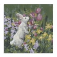 thumbnail image 1 of Stupell Industries Cottage Bunny in Garden Impression Canvas Art, 36 x 36, by June Erica Vess, 1 of 8