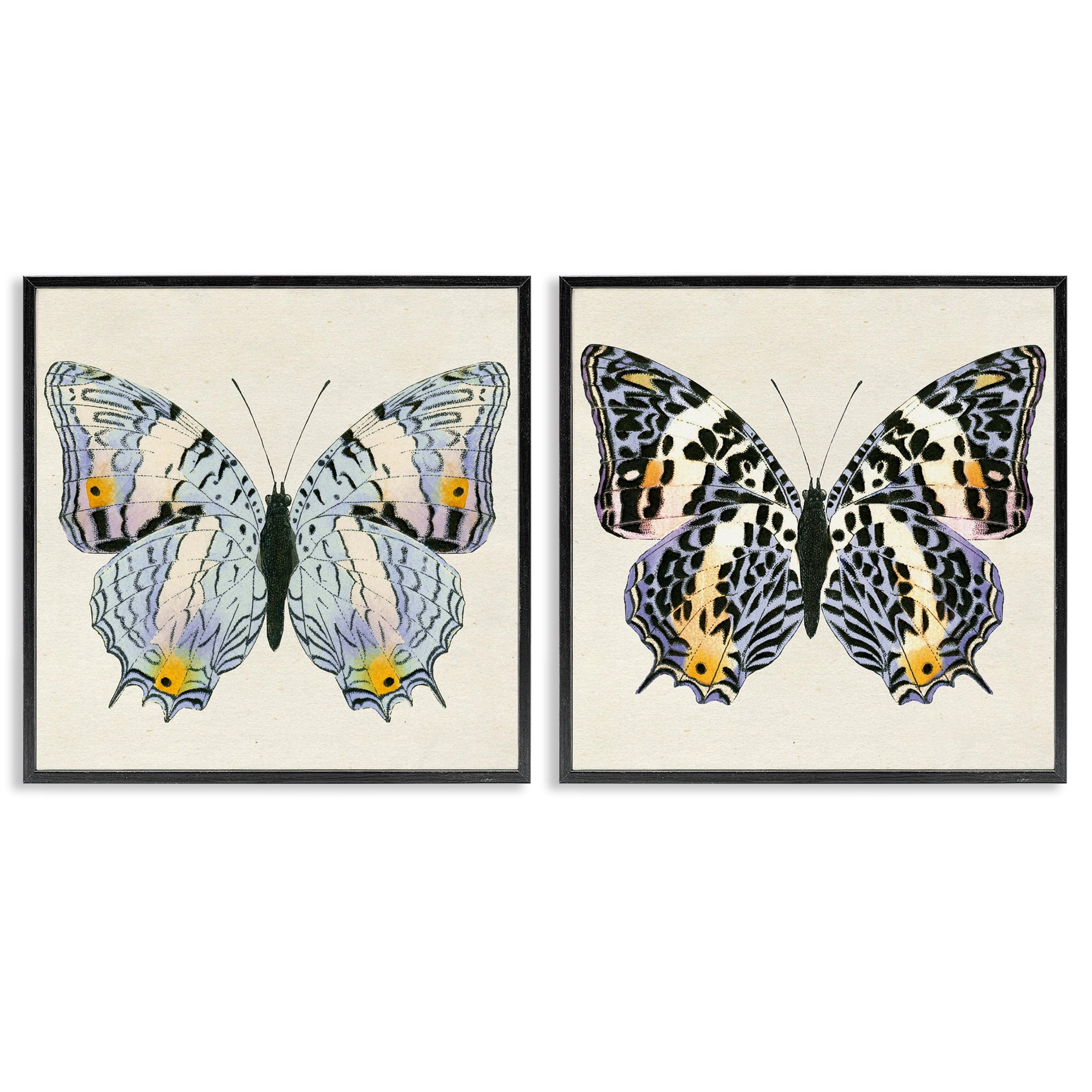 Stupell Industries Butterflies with Yellow Details Insects Painting Black Framed Art Print Wall Art, 12 x 12, Set of 2