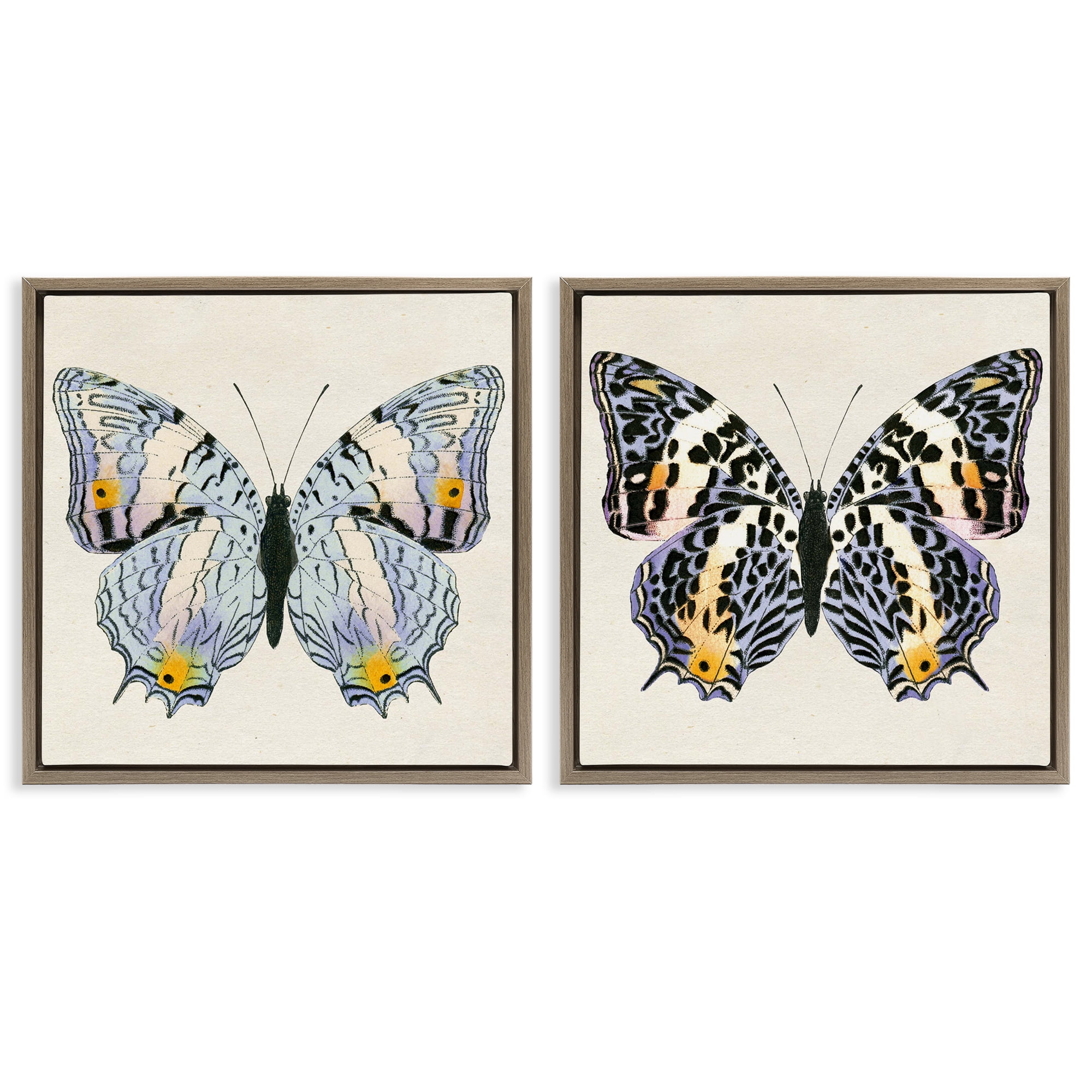 Stupell Industries Butterflies with Yellow Details Insects Painting Brown Floater Framed Canvas Art Print Wall Art, 18 x 18, Set of 2