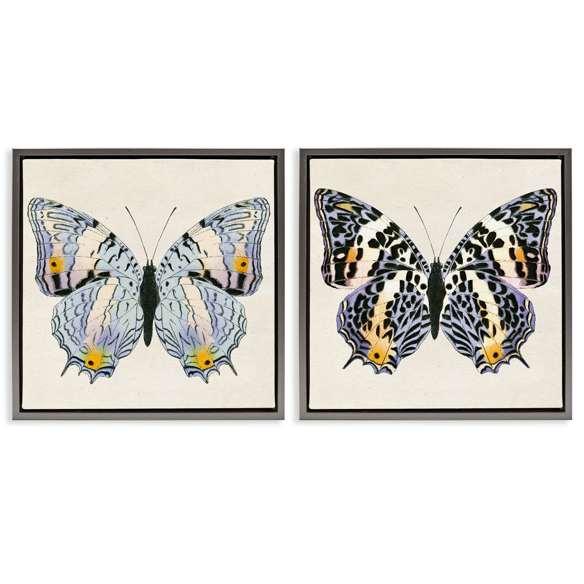 Stupell Industries Butterflies with Yellow Details Insects Painting Gray Floater Framed Canvas Art Print Wall Art, 18 x 18, Set of 2