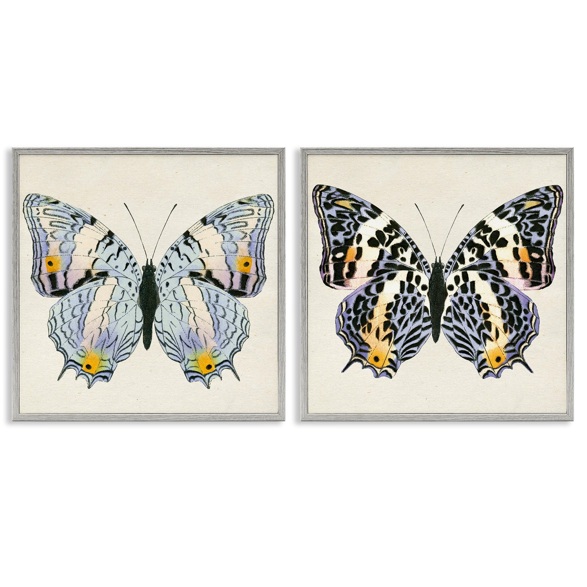 Stupell Industries Butterflies with Yellow Details Insects Painting Gray Framed Art Print Wall Art, 17 x 17, Set of 2