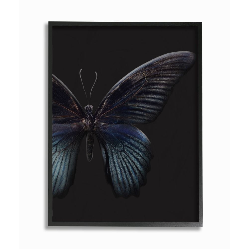 Black Framed Abstract Butterfly Canvas Wall Art for Kids, 16x20