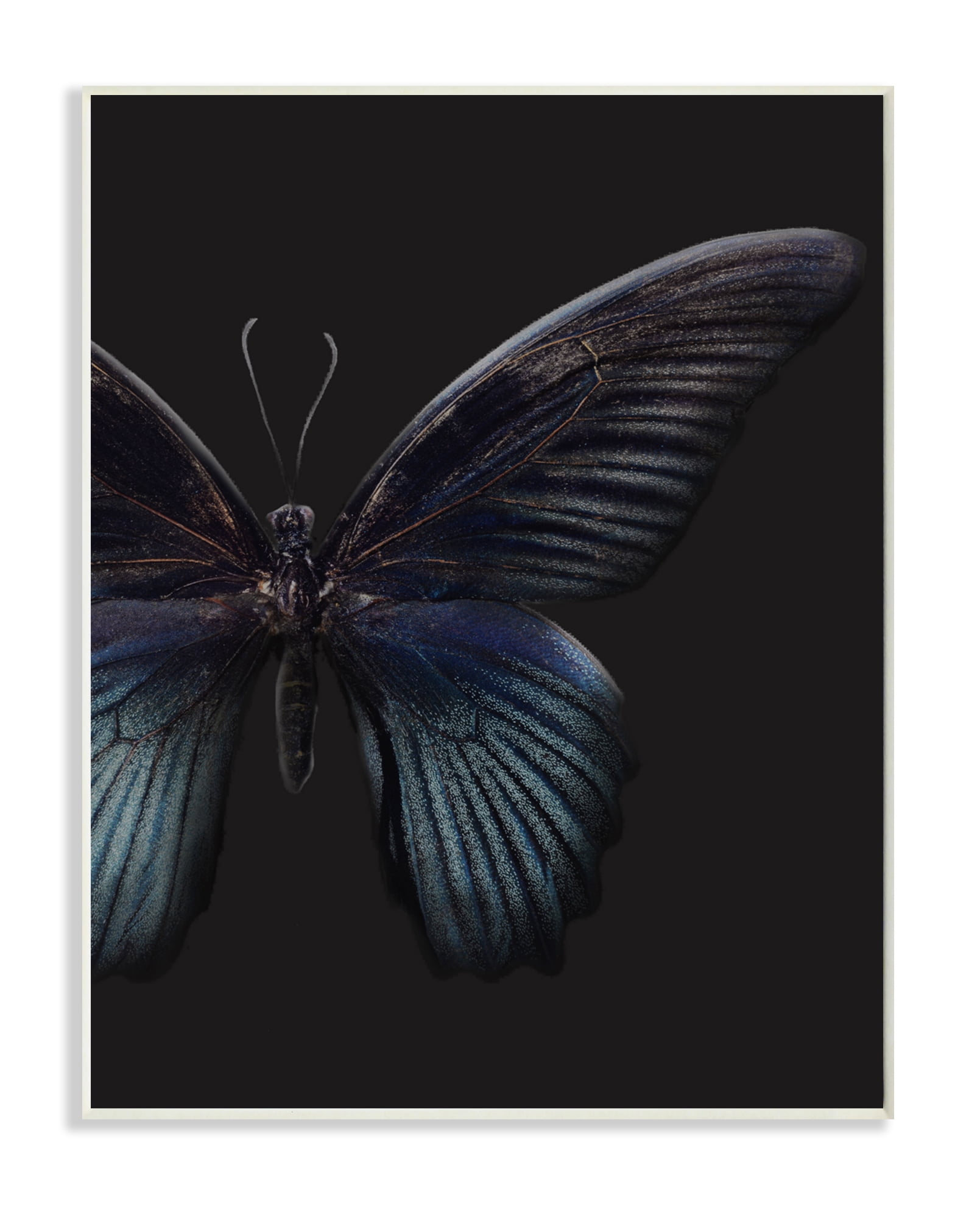 Stupell Industries Butterfly Abstract Wings Animal Photograph Graphic Art Unframed Art Print Wall Art, 10x15, by Design Fabrikken
