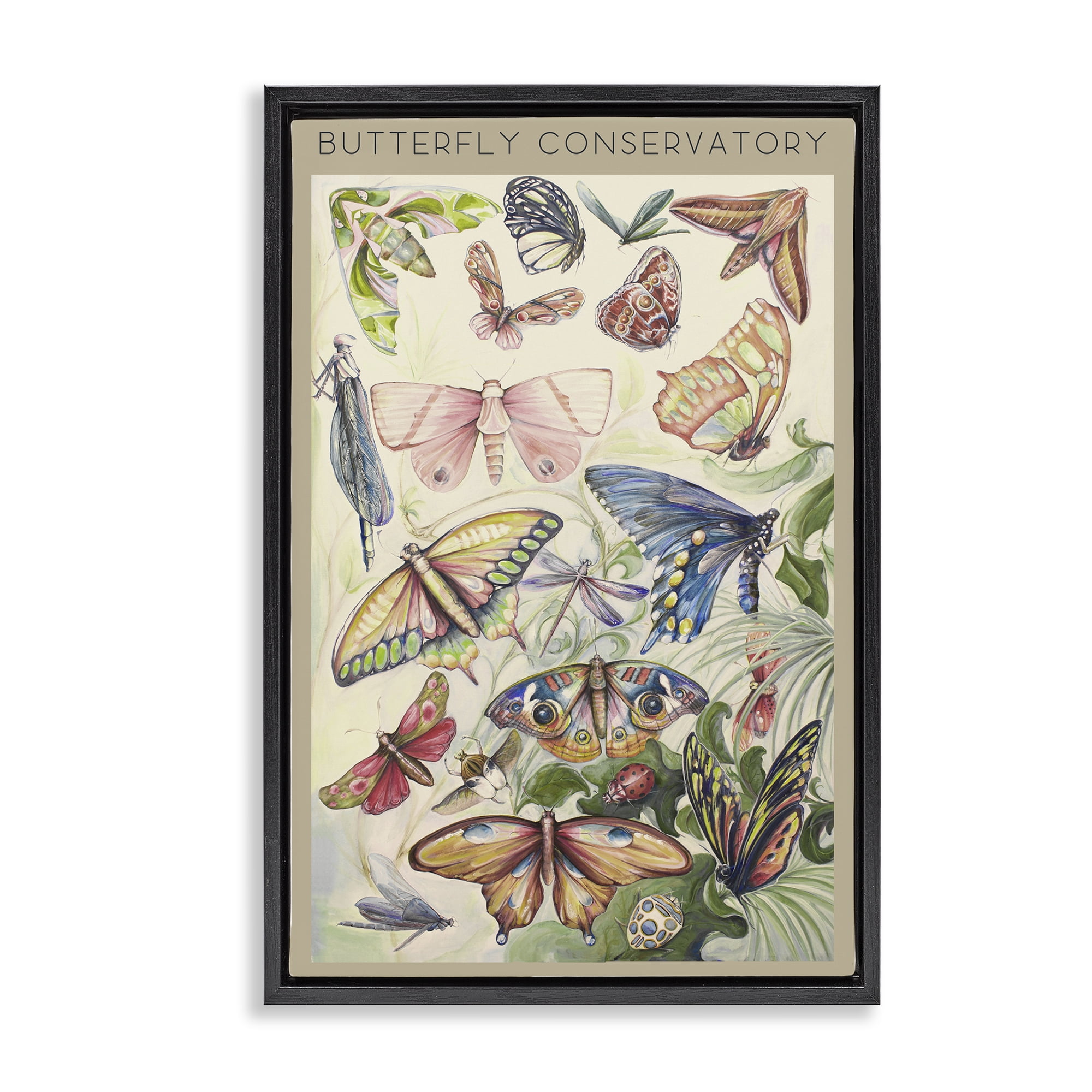 Stupell Industries Butterfly Conservatory Insects Black Framed Floater Canvas Wall Art, design by Diannart