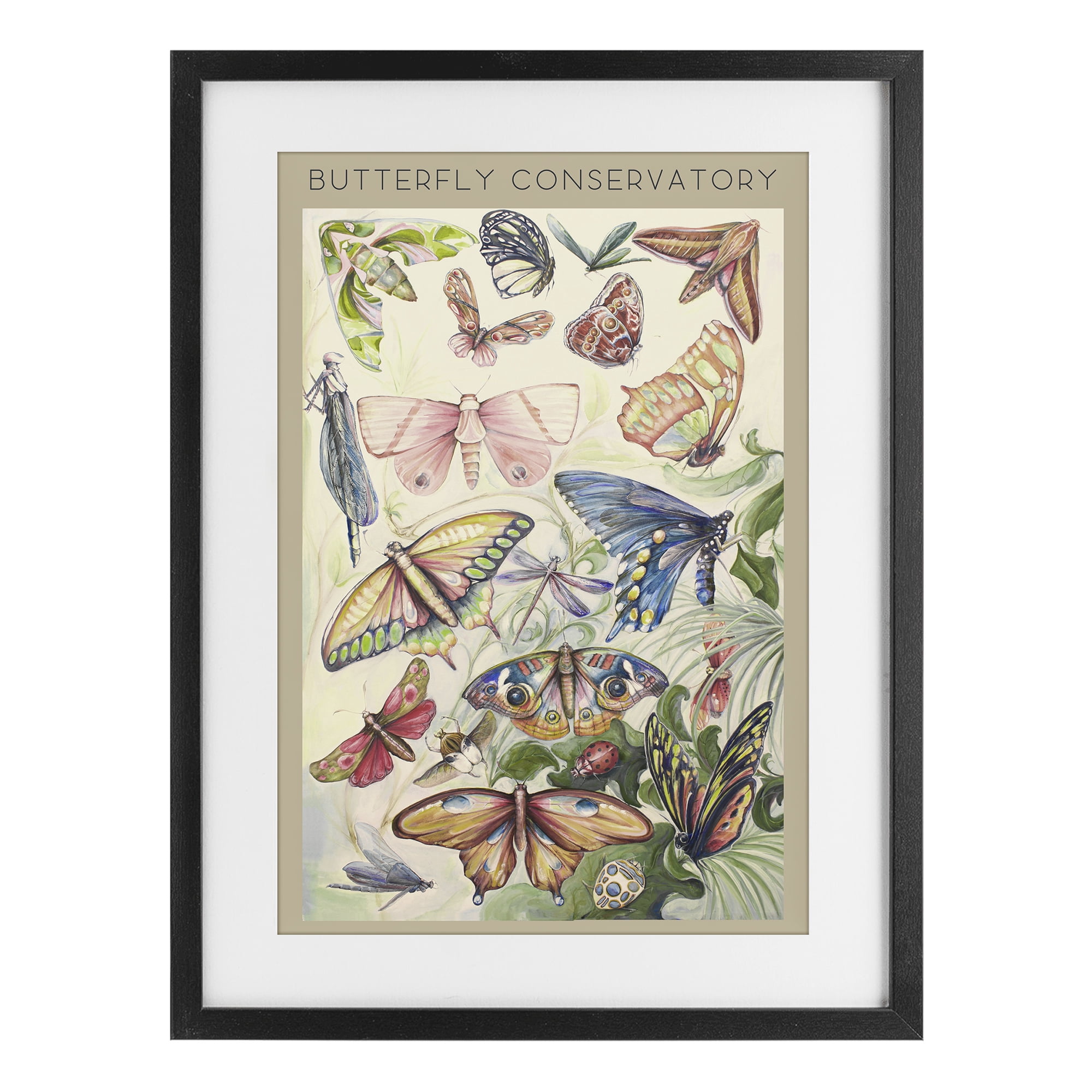 Stupell Industries Butterfly Conservatory Insects Black Framed Print Under Glass, design by Diannart
