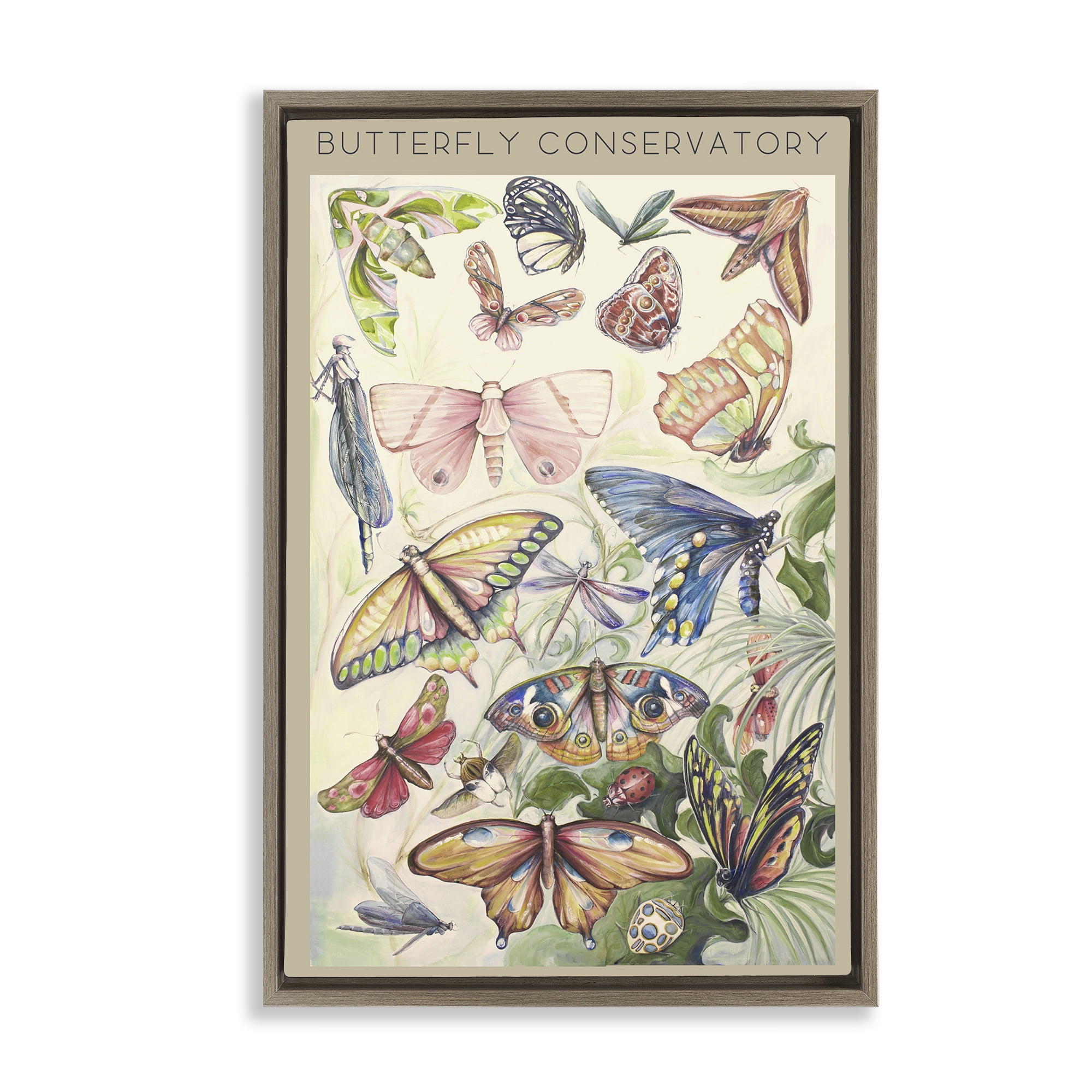 Stupell Industries Butterfly Conservatory Insects Brown Framed Floater Canvas Wall Art, design by Diannart